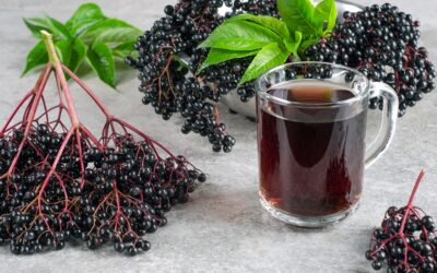 Najlepsze herbaty z czarnego bzu – Ranking 2026